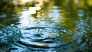 macro-shot-of-still-water-pond-surface-reflecting-sky-and-trees-with-single-ripple-expanding-tranquil-photo
