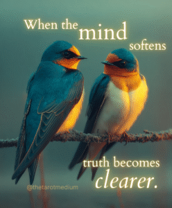 Two birds symbolizing Gemini perched with pastel sky and clean negative space for a tarot message “When the mind softens, the truth gets clearer.”