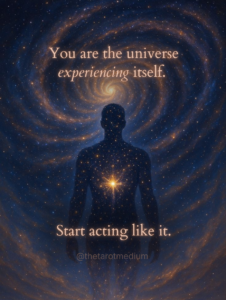 A human silhouette made of stardust with a galaxy in the heart and the quote “You are the universe experiencing itself. Start acting like it.”