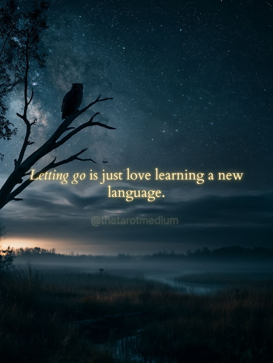 An owl on a bare branch beneath a starry night sky with a heart-shaped cloud, symbolizing messages from the other side